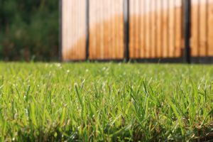 Simonis Bestratingen aanleg onderhoud gazon